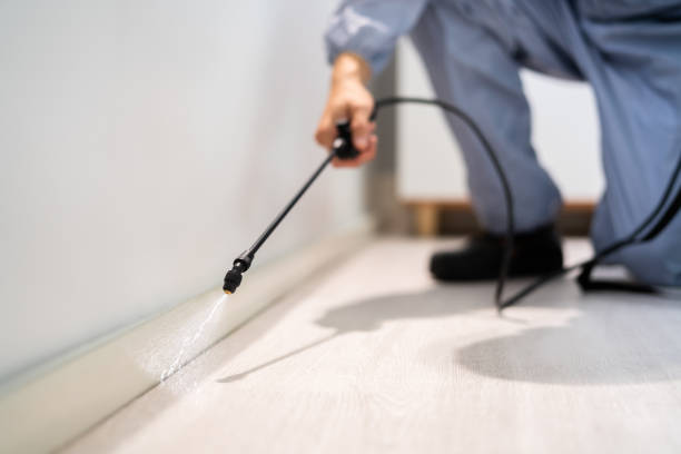 Licensed Bed Bug Control service in Enterprise, WV - Nex Pest Control