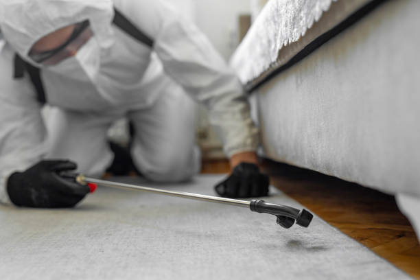 Professional Bed Bug Control technician working in Enterprise, WV