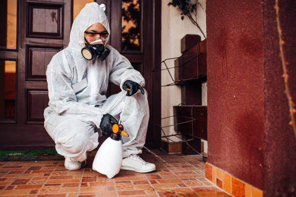 Reliable Bed Bug Control contractor in Enterprise, WV by Nex Pest Control